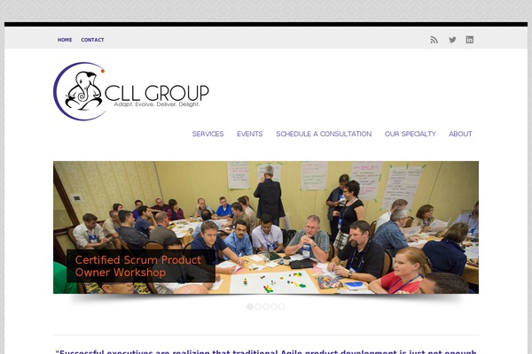 cll-group.com site used Wp Enlightened