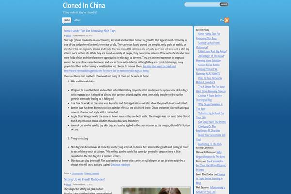 clonedinchina.com site used Silent-blue