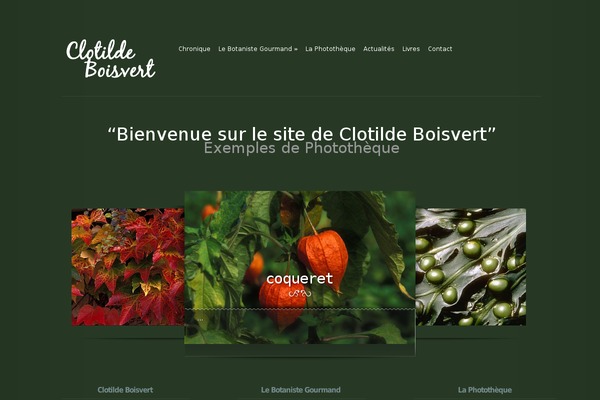 clotildeboisvert.fr site used Modest