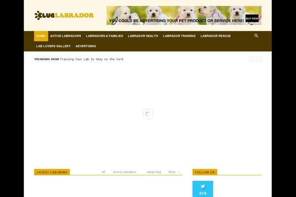 clublabrador.com site used Wp-mediamag-prem