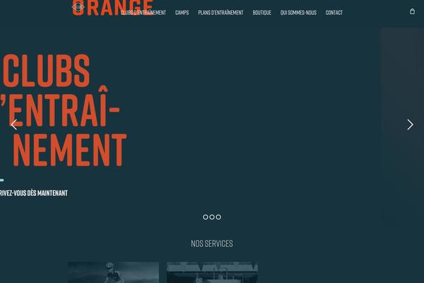 Salient theme site design template sample