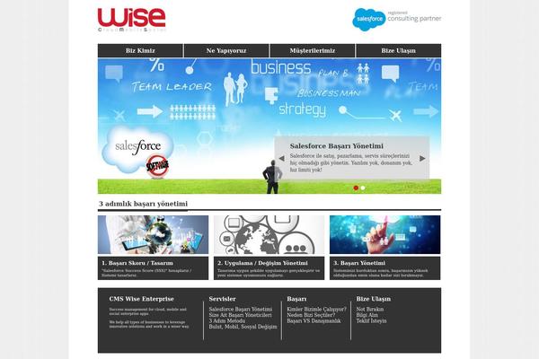 cms-wise.com site used Skynet