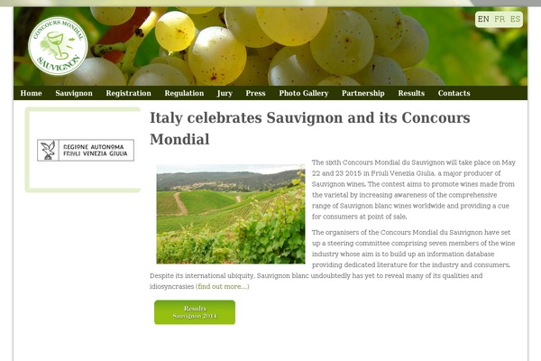 Avada theme site design template sample