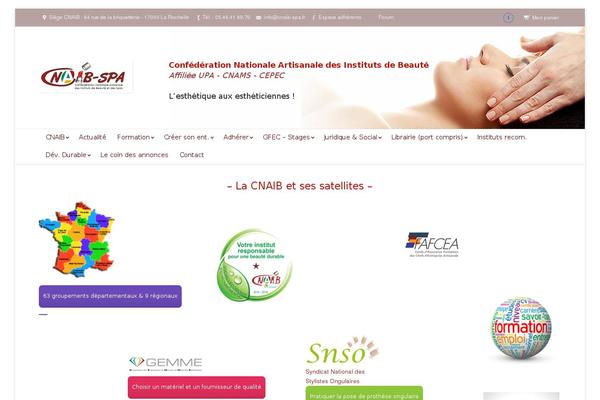 cnaib.fr site used Cnaib-institut-beaute