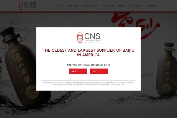 Cns theme site design template sample