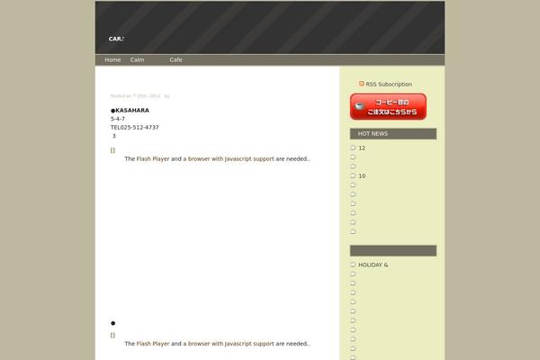 WordPress website example screenshot