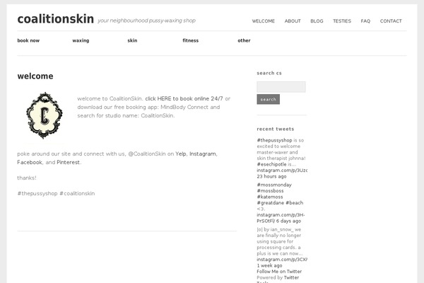 WordPress website example screenshot