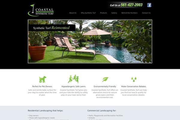 coastalsyntheticturf.com site used Cst