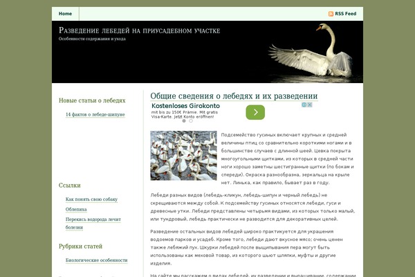 cob-swan.ru site used Vidiyal