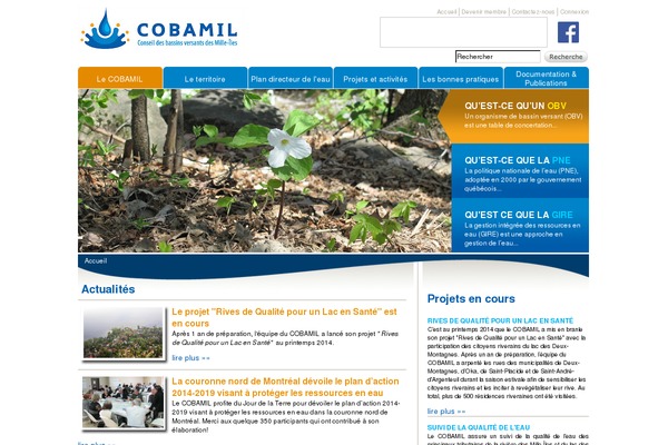 Eco Nature theme site design template sample