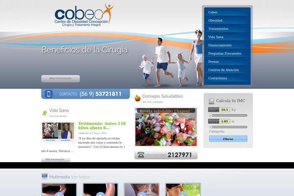 cobec.cl site used Cobec