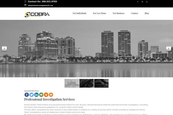 cobrainvestigationsfl.com site used Lawbusiness-child