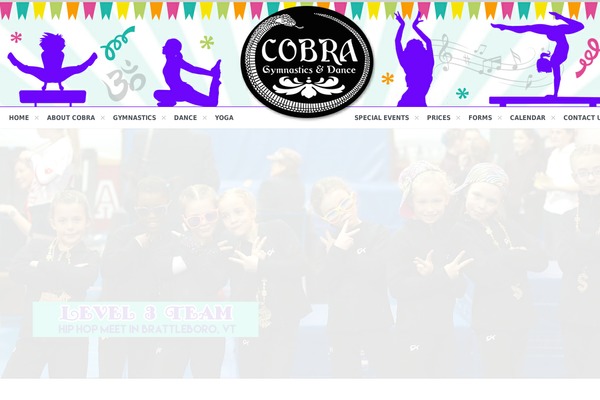 Site using Dt-the7-core plugin