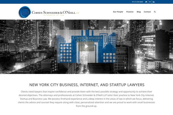 Enfold theme site design template sample