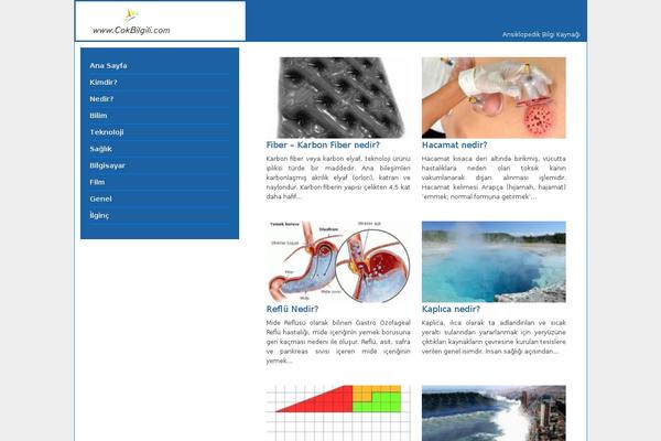 Shopen theme site design template sample