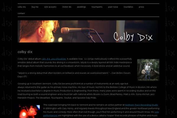 WordPress website example screenshot