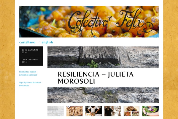 colectivofelix.com site used Cfelix