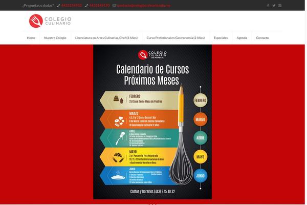 WordPress website example screenshot