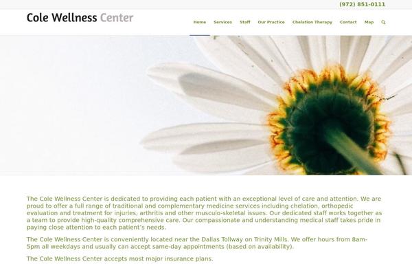 Enfold theme site design template sample