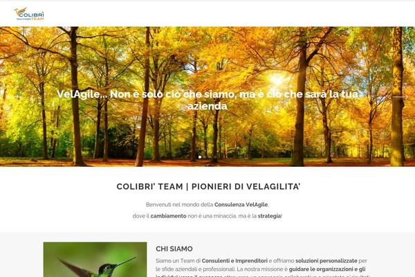 Conall theme site design template sample