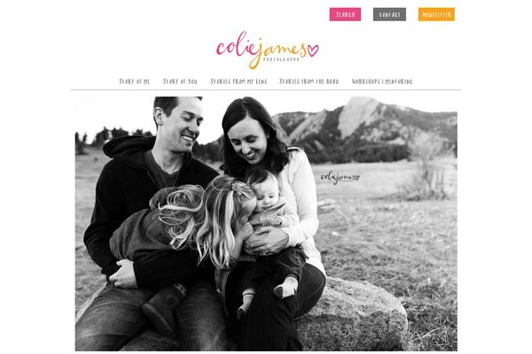 WordPress website example screenshot