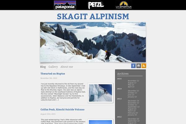 skagit theme websites examples