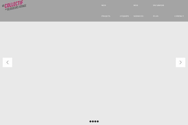 Rara Business theme site design template sample