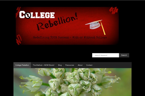 collegerebellion.com site used myStore