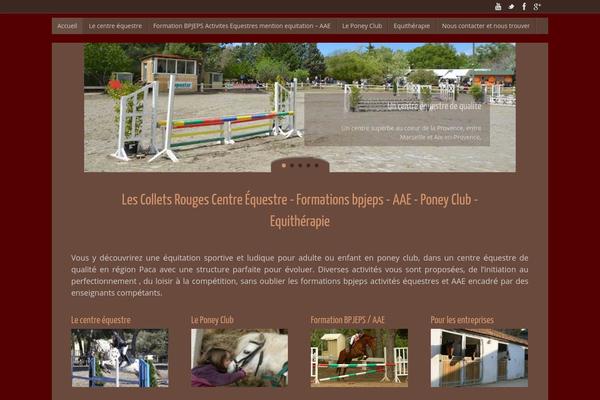 Tempera theme site design template sample