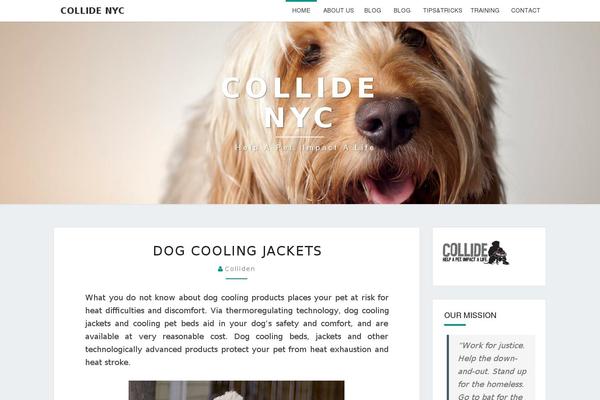 collidenyc.org site used WP-Forge