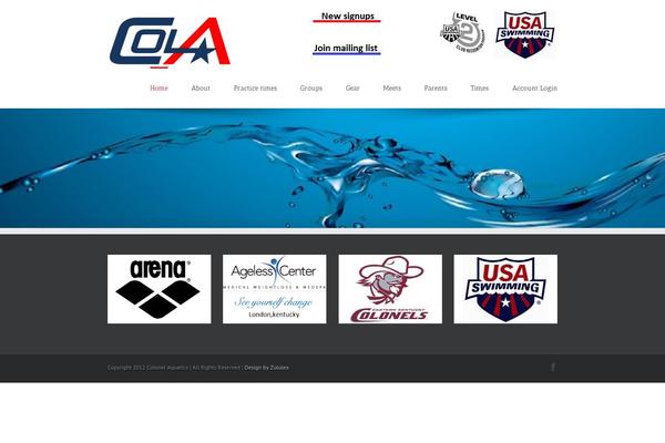 Avada theme site design template sample