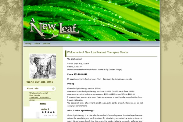 Mapleleaf theme site design template sample