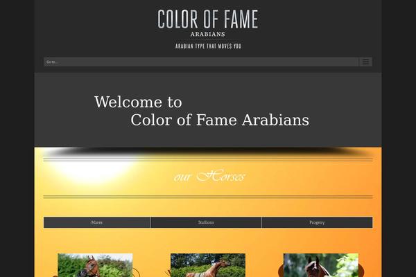 WordPress website example screenshot