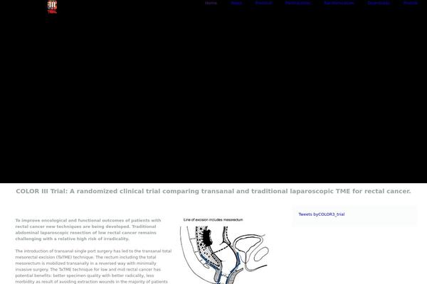 Avada theme site design template sample