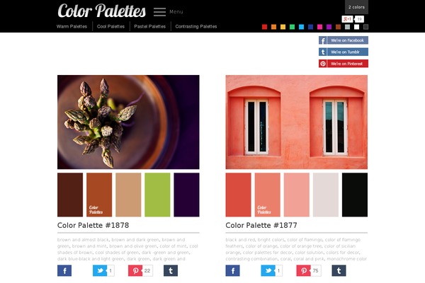 colorpalettes.net site used Colornew