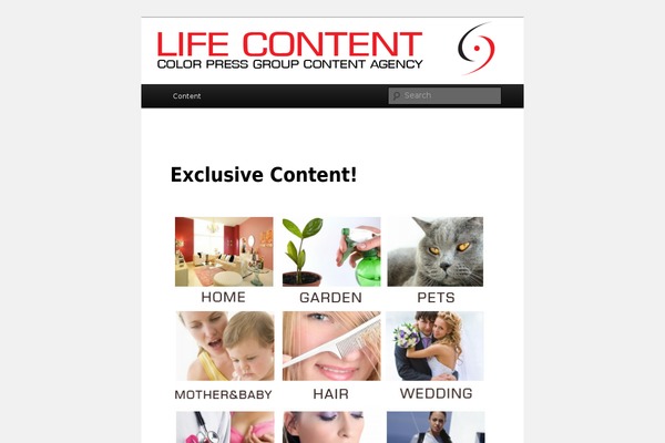 WordPress website example screenshot