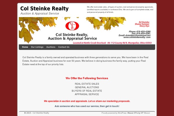 WordPress website example screenshot