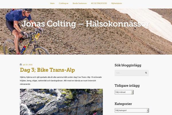 WordPress website example screenshot