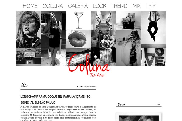 duesc theme websites examples