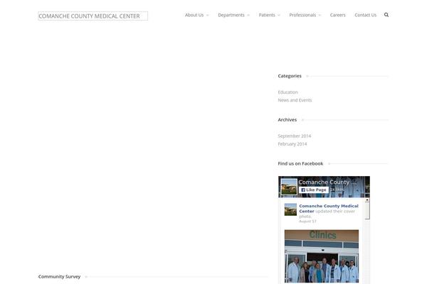 WordPress website example screenshot