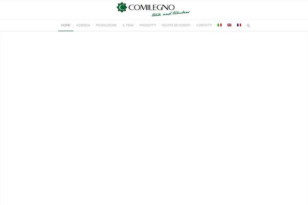 Enfold theme site design template sample