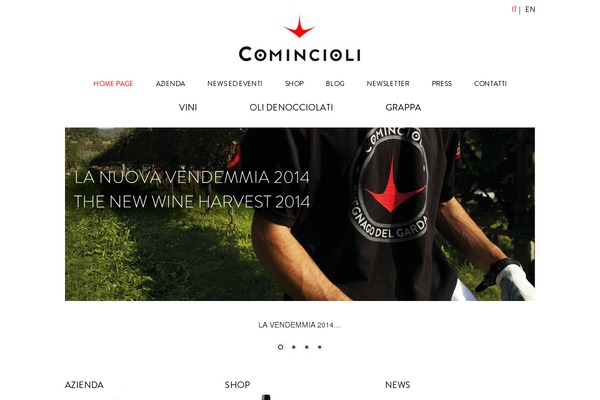 comincioli.it site used Vino