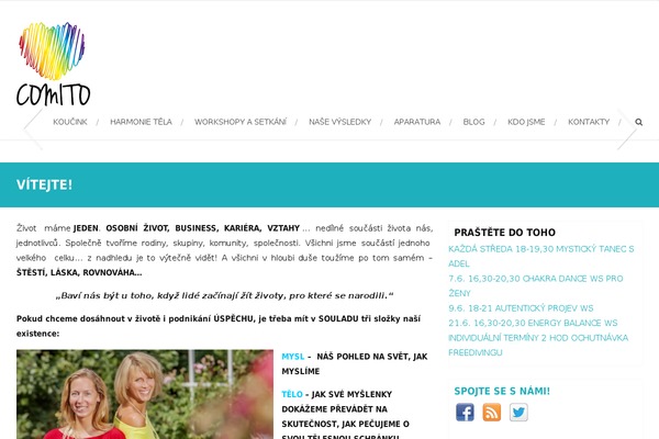 Mega-blog theme site design template sample