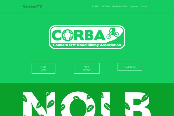 Salient theme site design template sample