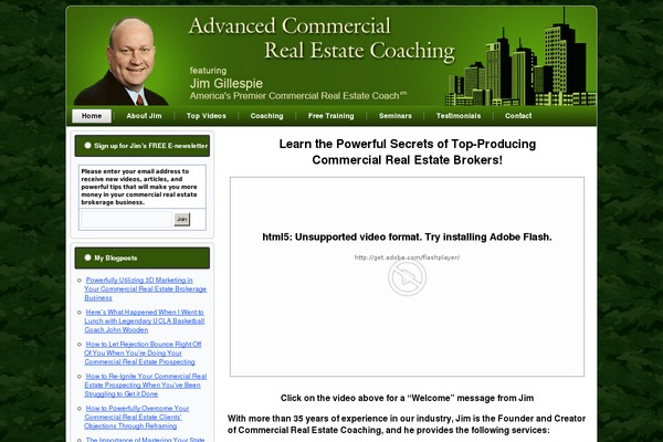 WordPress website example screenshot