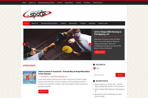 NewsMag theme site design template sample