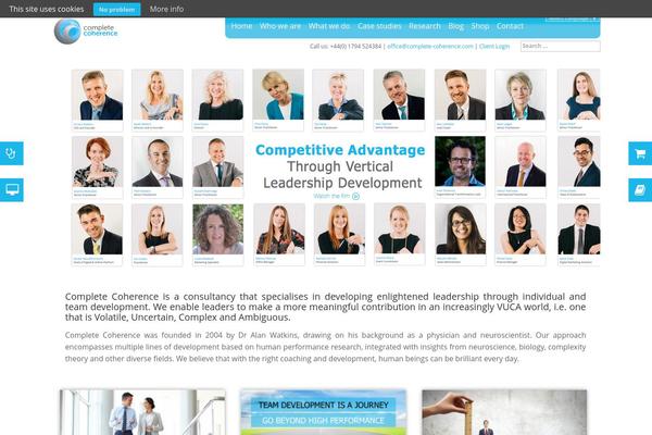 WordPress website example screenshot