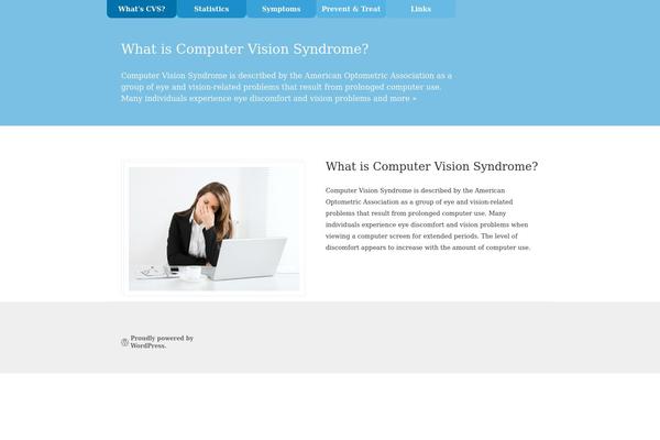 computer-vision-syndrome.org site used Twenty Ten