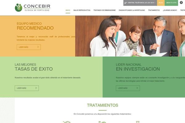 concebir.com site used Concebir-template