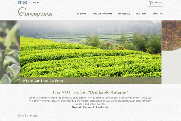 WordPress website example screenshot